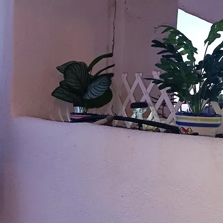 Dihara Apartman *